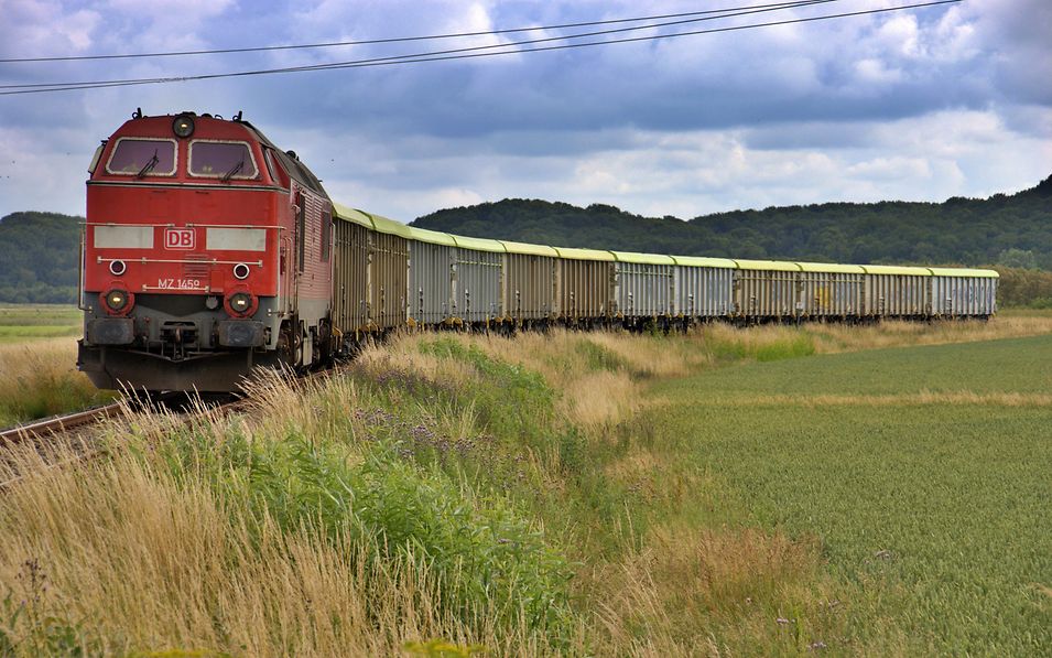 Güterzug in Landschaft